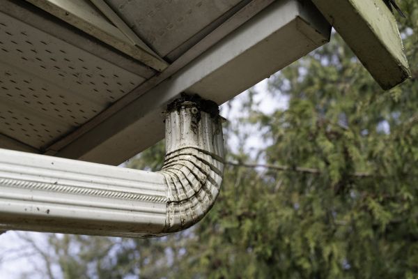 Cost of Roof Drain Replacement in Parrish
