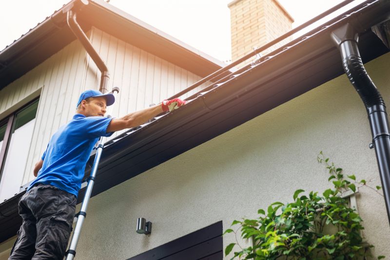 Gutter Inspection Technicians